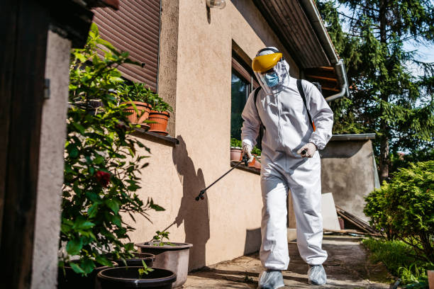 Best Local Pest Control Services  in Sullivan, IL