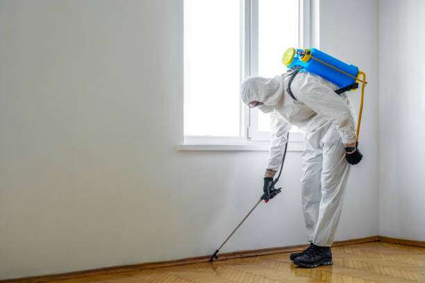 Best Cockroach Control Services  in Sullivan, IL