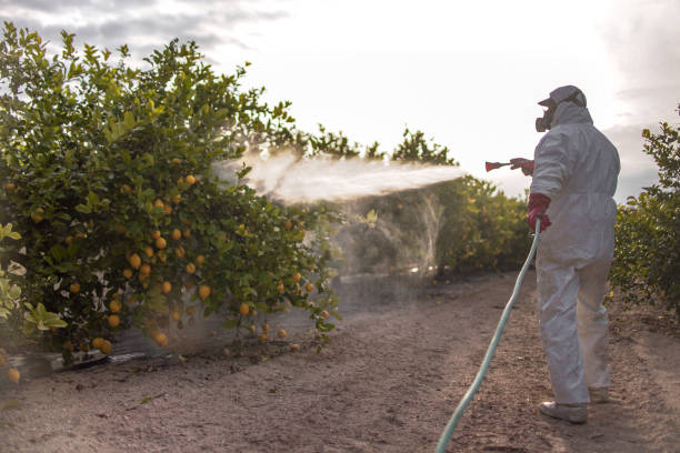 Best Best Pest Control Companies  in Sullivan, IL