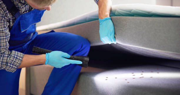 Best Termite Control Services  in Sullivan, IL