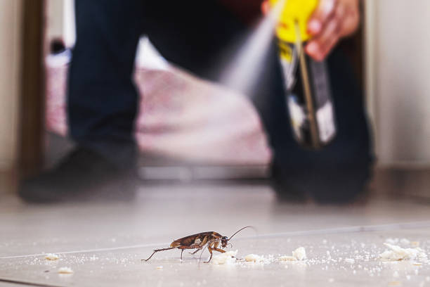 Best Residential Pest Control  in Sullivan, IL