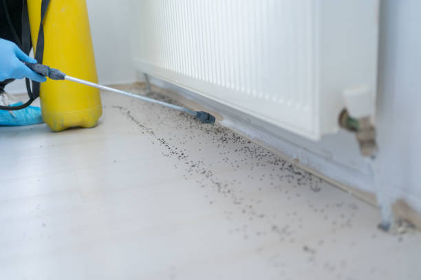 Best Exterminator Services  in Sullivan, IL